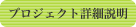 詳細説明スタート